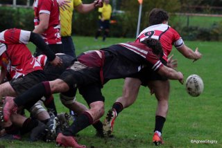 040-bj8a2486.jpg - JPEG - 215.9 ko - 1500×1001 px