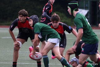 043-043-bj8a1188.jpg - JPEG - 205.7 ko - 1500×1000 px