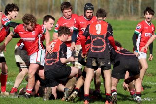 049-bj8a7542.jpg - JPEG - 1.8 Mo - 2331×1554 px