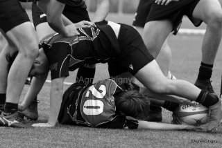 064-064-bj8a1572.jpg - JPEG - 209 ko - 1500×1001 px