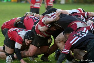 068-bj8a2542.jpg - JPEG - 237.3 ko - 1500×1000 px