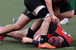 080-080-bj8a1284.jpg - JPEG - 196 ko - 1500×1001 px