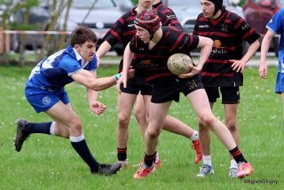 108-bj8a8413.jpg - JPEG - 280.3 ko - 1500×1002 px