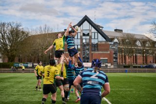 1113_jz2_9828.jpg - JPEG - 457.2 ko - 2000×1333 px