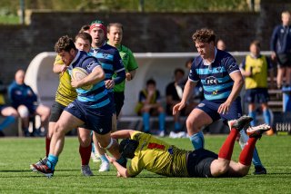 117_jz1_0069.jpg - JPEG - 459.2 ko - 2000×1334 px