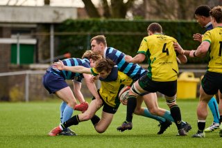 1265_jz1_5886.jpg - JPEG - 439.4 ko - 2000×1333 px