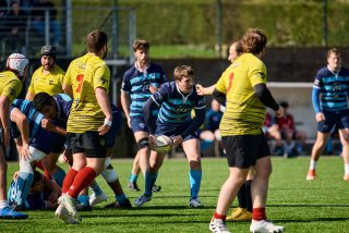 129_jz1_0081.jpg - JPEG - 473.8 ko - 2000×1333 px