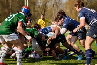 1550_jz2_5655.jpg - JPEG - 502.1 ko - 2000×1334 px