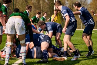 1554_jz2_5659.jpg - JPEG - 500.7 ko - 2000×1333 px