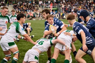 1582_jz2_4166.jpg - JPEG - 534 ko - 2000×1333 px