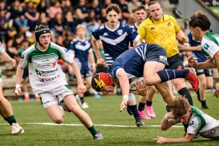 1587_jz2_4171.jpg - JPEG - 473.9 ko - 2000×1333 px