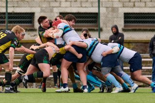 1705_jz1_6185.jpg - JPEG - 427.2 ko - 2000×1333 px