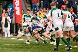 1708_jz2_4287.jpg - JPEG - 468.2 ko - 2000×1333 px