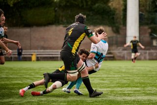 1816_jz2_0040.jpg - JPEG - 414.5 ko - 2000×1333 px