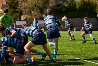 184_jz2_0074.jpg - JPEG - 488.5 ko - 2000×1333 px