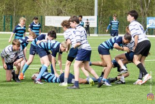 2024-04-06_boitsfort_-_asub_43-26_22_.jpg - JPEG - 686.6 ko - 2000×1333 px