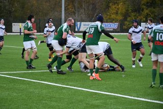 2025-11-10_003109_54916728281_o.jpg - JPEG - 461 ko - 2000×1333 px