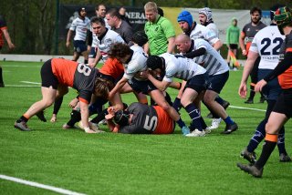 2026-03-29_161928_55186895369_o.jpg - JPEG - 526.7 ko - 2000×1333 px