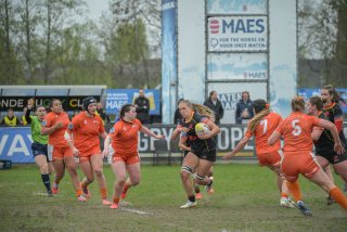 2026_belgie-nederland-8159.jpg - JPEG - 396.9 ko - 1920×1280 px