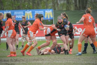 2026_belgie-nederland-8210.jpg - JPEG - 395.5 ko - 1920×1280 px