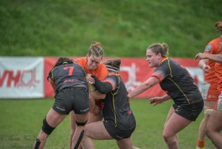 2026_belgie-nederland-8333.jpg - JPEG - 281.4 ko - 1920×1280 px