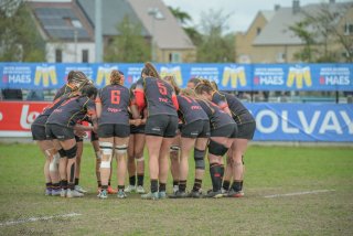 2026_belgie-nederland-8347.jpg - JPEG - 363.7 ko - 1920×1280 px