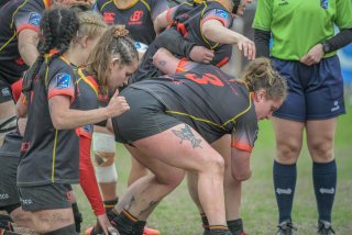 2026_belgie-nederland-8353.jpg - JPEG - 399.5 ko - 1920×1280 px