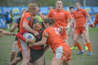 2026_belgie-nederland-8365.jpg - JPEG - 327.5 ko - 1920×1280 px