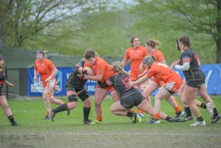 2026_belgie-nederland-8540.jpg - JPEG - 409.6 ko - 1920×1280 px