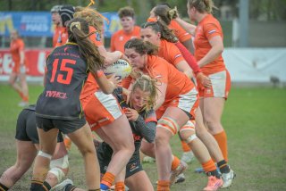 2026_belgie-nederland-8556.jpg - JPEG - 365.7 ko - 1920×1280 px