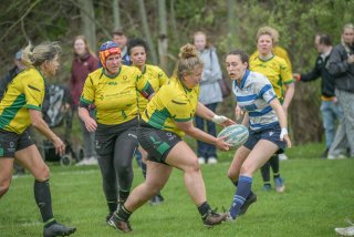 2026_dendermonde-leuven_weekend_wariors_-7962.jpg - JPEG - 376.6 ko - 1920×1280 px