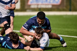 2137_jz1_6765.jpg - JPEG - 362.5 ko - 2000×1333 px