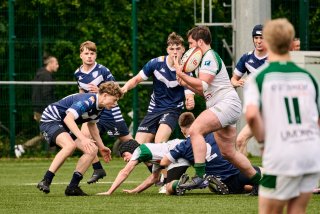 2157_jz2_4709.jpg - JPEG - 464.2 ko - 2000×1332 px