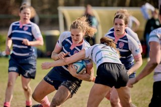 2229_jz1_2225.jpg - JPEG - 348.6 ko - 2000×1333 px