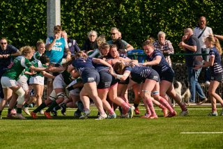 2255_jz2_1574.jpg - JPEG - 629.2 ko - 2000×1334 px