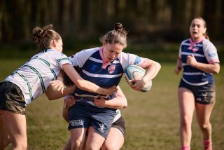 2259_jz1_2255.jpg - JPEG - 317.2 ko - 2000×1333 px