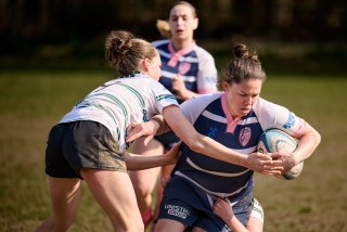 2262_jz1_2258.jpg - JPEG - 309 ko - 2000×1333 px