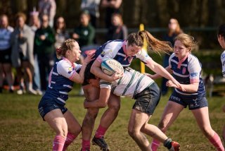 2264_jz1_2260.jpg - JPEG - 387.8 ko - 2000×1333 px