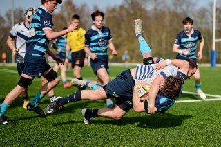 2269_jz2_1535.jpg - JPEG - 500.8 ko - 2000×1333 px