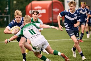 2277_jz2_4830.jpg - JPEG - 384.5 ko - 2000×1333 px