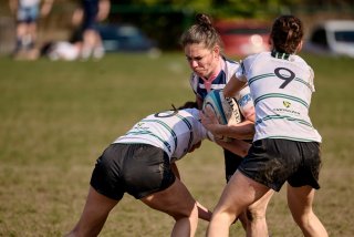 2291_jz1_2285.jpg - JPEG - 288.1 ko - 2000×1333 px