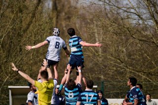 2292_jz1_6870.jpg - JPEG - 455.1 ko - 2000×1333 px