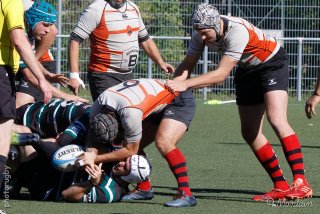 230924_d_002_r7_02048.jpg - JPEG - 200.1 ko - 1000×667 px