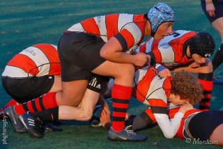 231202_u18_020_6d028722.jpg - JPEG - 147.4 ko - 1000×667 px