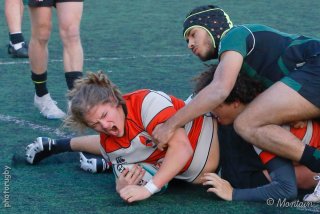 231202_u18_074_6d028741.jpg - JPEG - 135.2 ko - 1000×667 px