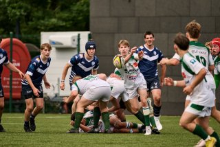 2368_jz2_4909.jpg - JPEG - 405.2 ko - 2000×1333 px