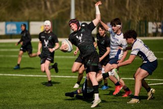 2391_jz2_4806.jpg - JPEG - 416.4 ko - 2000×1333 px