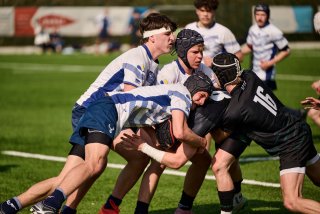 2397_jz2_4812.jpg - JPEG - 375.7 ko - 2000×1333 px