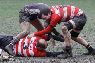 240204_d_040_7m077735.jpg - JPEG - 156.7 ko - 1000×667 px