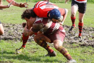 240225_b_009_6d_29163.jpg - JPEG - 223.7 ko - 1000×667 px